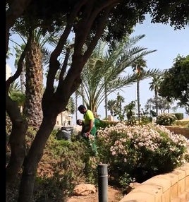 Trabajadores se encargan de labores de jardinería en las proximidades del Castillo de Santa Ana.