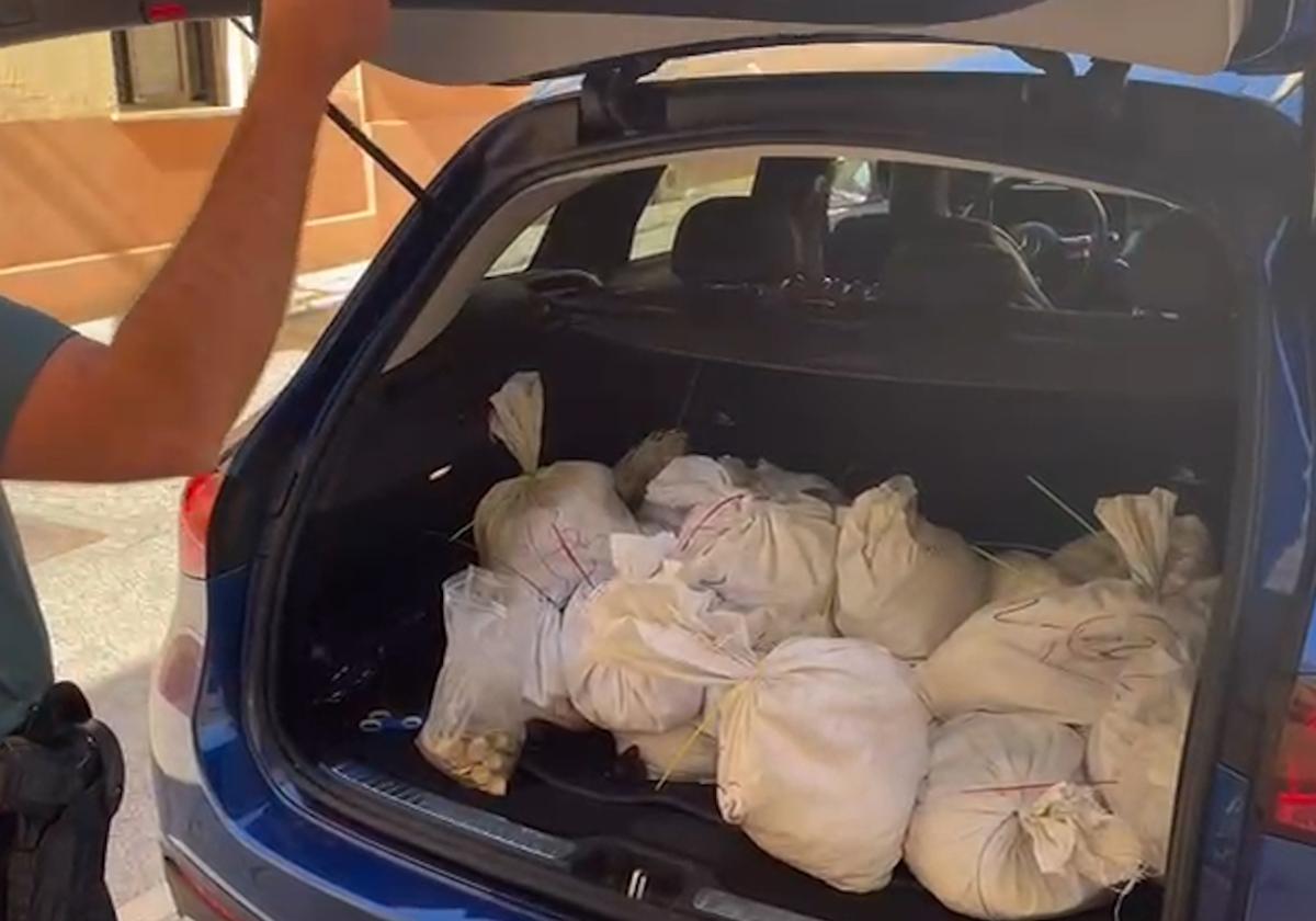 Dos detenidos en Roquetas de Mar con más de 13.500 euros en monedas falsas