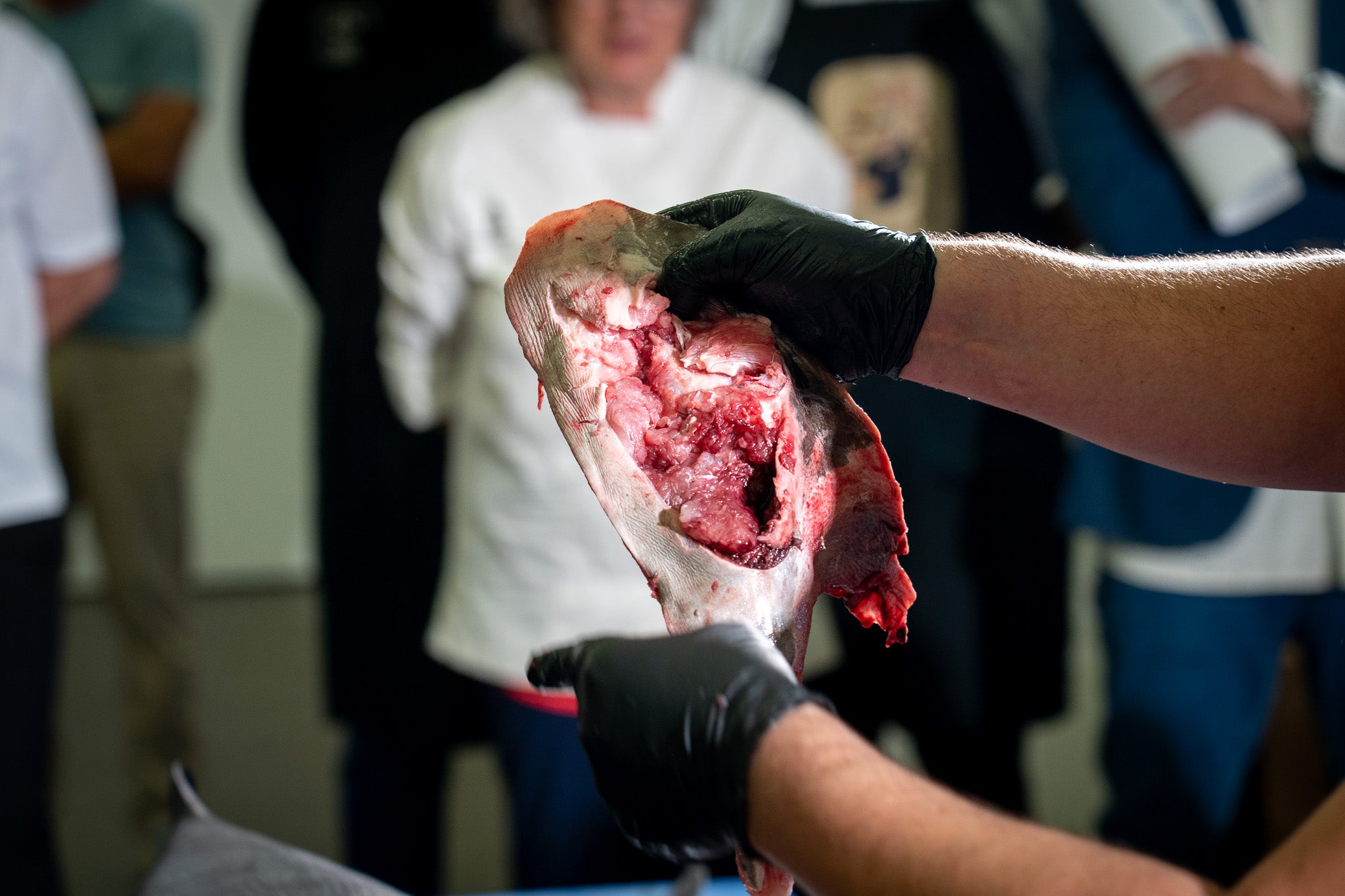 Roquetas refuerza su liderazgo gastronómico con la celebración del I Congreso MareTerra, en imágenes