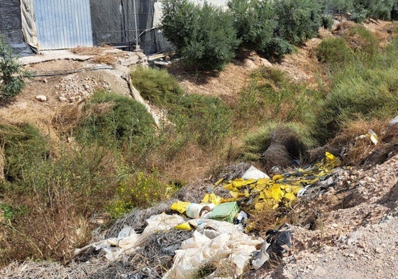 Una zona del municipio vicario.