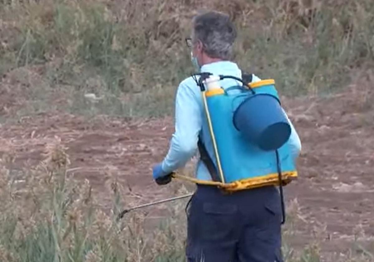 Una de los trabajadores que se encarga de fumigar en Roquetas.