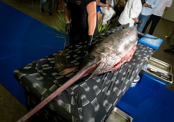 Uno de los grandes pescados que se pueden observar en esta jornada.