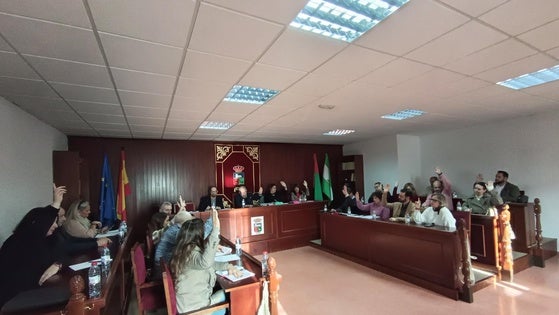 El Pleno Municipal de Vícar pone el foco en la conmemoración del 25N, en empleo y agricultura