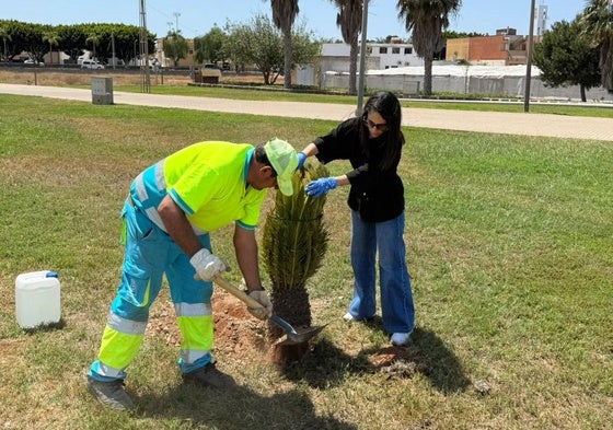 La edil de Servicios Urbanos, Rocío Vega, ha destacado que esta ayuda supone «un impulso importante para seguir mejorando la imagen del municipio».