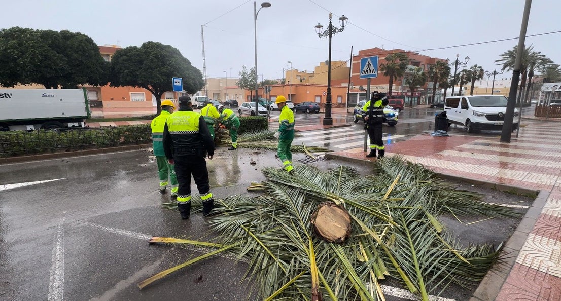 Servicios Municipales de Roquetas trabajan a pleno rendimiento durante el temporal, en imágenes