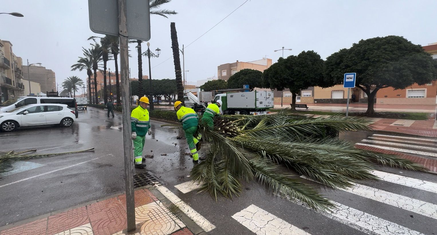 Servicios Municipales de Roquetas trabajan a pleno rendimiento durante el temporal, en imágenes