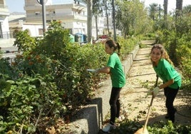 Jóvenes se encargan del mantenimiento de jardines en el municipio.