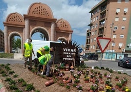 Trabajadores se encargan del mantenimiento de jardines en Vícar.