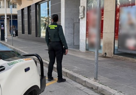 Detienen a dos varones como presuntos autores de un robo con violencia con la técnica del 'mataleón'