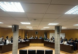 Imagen de uno de los Plenos celebrados en el Ayuntamiento de Roquetas de Mar.