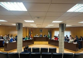 El Pleno se celebró en la mañana de este viernes en el Ayuntamiento de Roquetas de Mar.