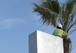 Trabajos de poda en altura en el municipio.