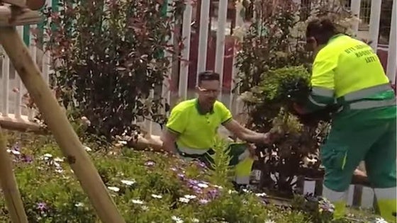 Roquetas realiza trabajos de jardinería en los alrededores del Parque de Música