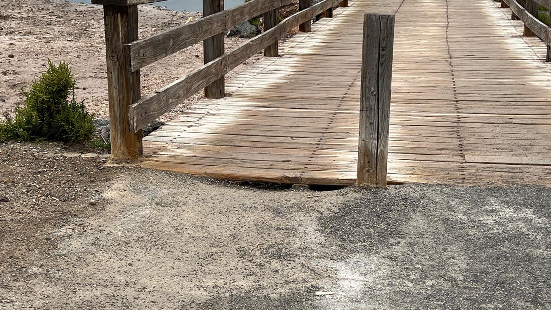 El deterioro del corredor verde de la Ribera de la Algaida, en imágenes