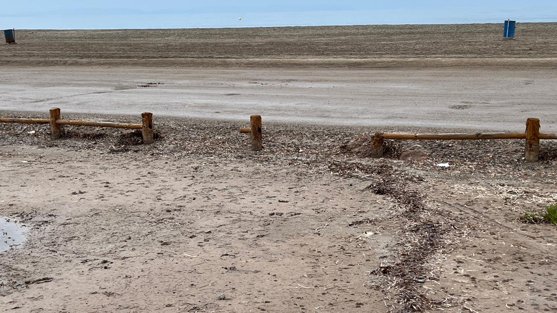El deterioro del corredor verde de la Ribera de la Algaida, en imágenes