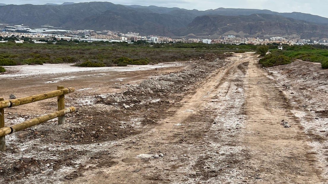 El deterioro del corredor verde de la Ribera de la Algaida, en imágenes