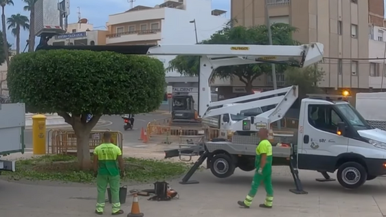 Roquetas realiza labores de poda de árboles en las cercanías del Mercado de Abastos