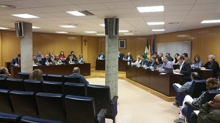 La abstención de Ciudadanos impide que el pleno repruebe a Amat y le abra un expediente por el caso Jarquil Verde