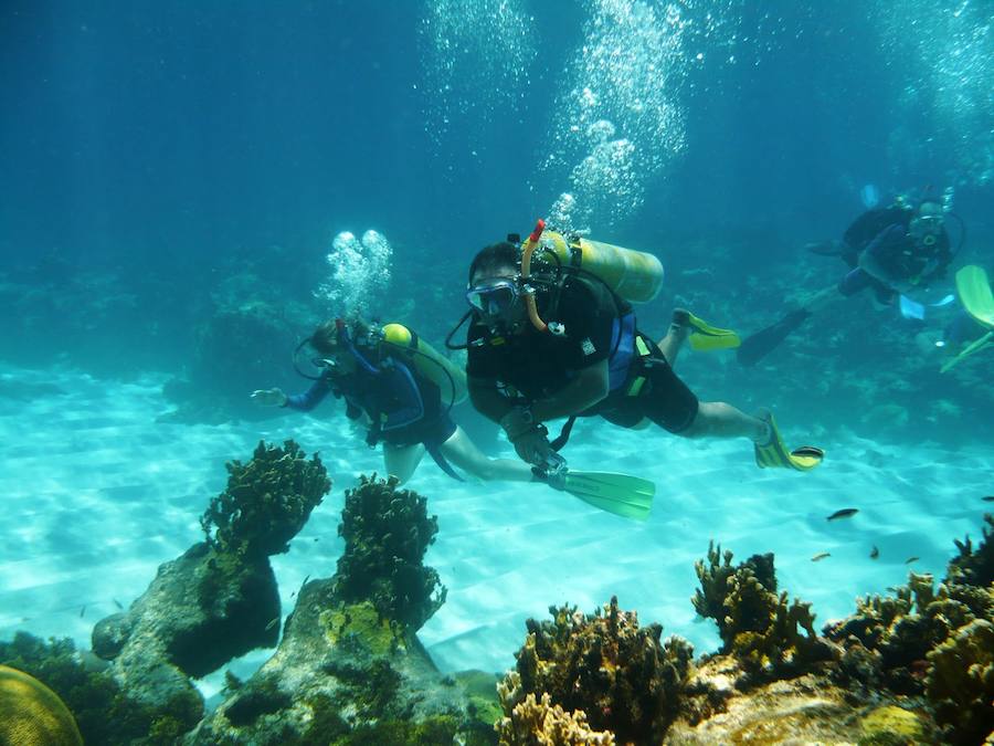 Bautismo de buceo para disfrutar del fondo marino de Cabo de Gata