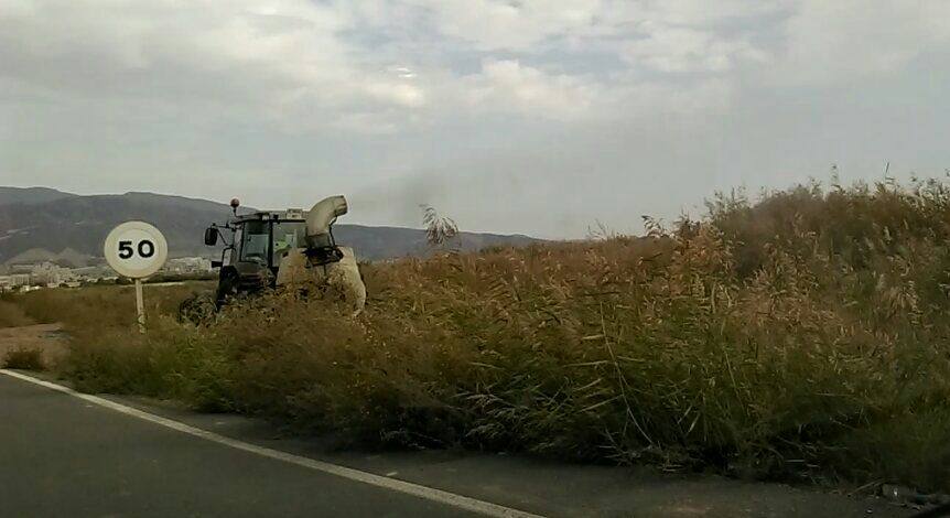 Tú Decides critica la fumigación en la zona de la Ribera de la Algaida