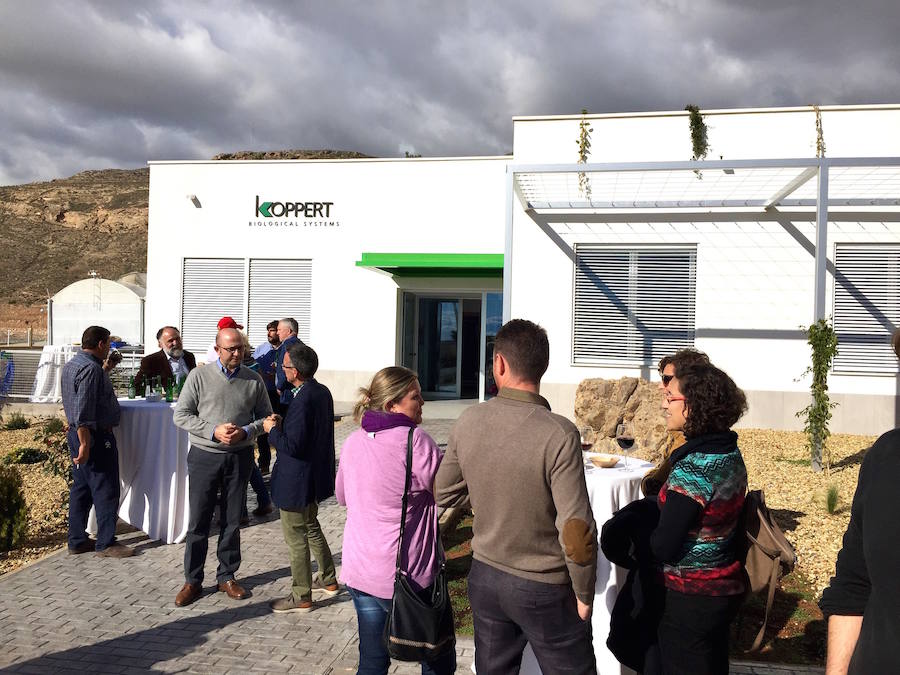 Koppert investigará en Vícar sobre soluciones naturales para la agricultura