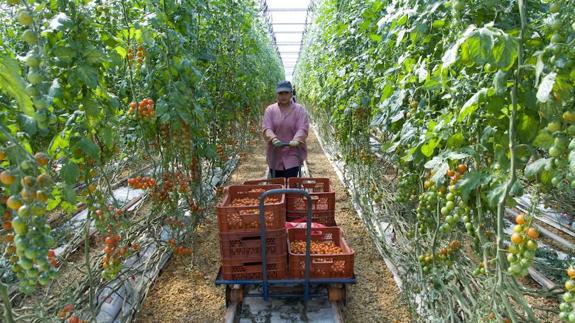 Empleo quiere trasladar el éxito de su plan de formación hostelera al sector agrícola