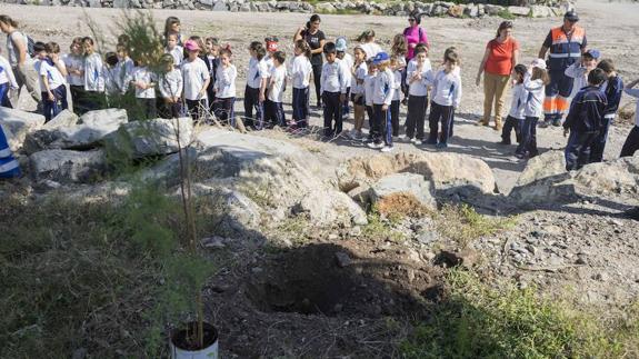 Ciudad Saludable celebró el Día del Árbol plantando tarays en Las Hortichuelas