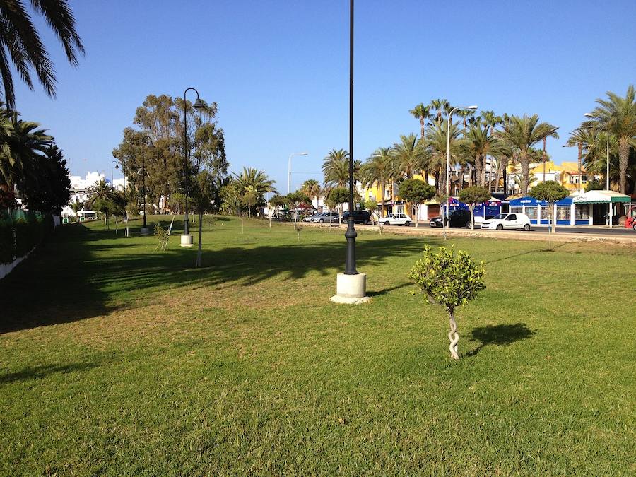 Ciudadanos quiere parques «hipoalergénicos» para evitar las molestias de la alergia