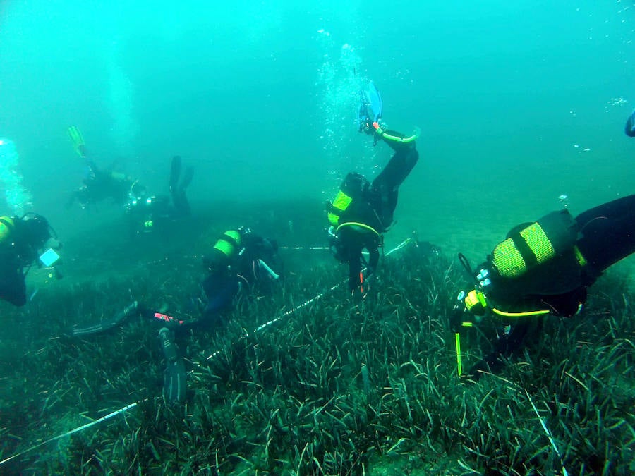 Turismo organiza una gimkana fotográfica submarina para difundir la flora y fauna marina