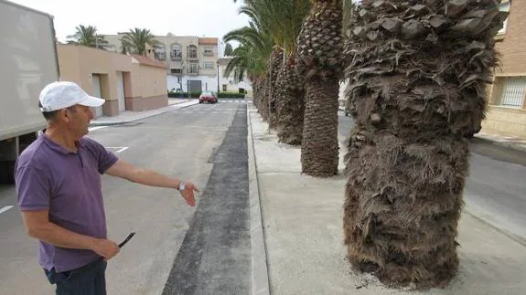 Polémica por las palmeras 'hormigonadas' de Las Marinas de Roquetas