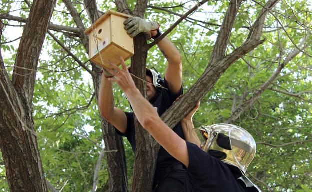 El Parque Norte acogió la conmemoración del Día Mundial del Medio Ambiente