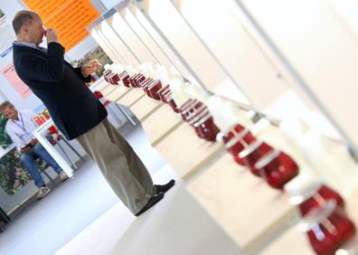 Imagen secundaria 1 - Cocina en directo, cata de aceites y productos Degusta Jaén en la carpa de muestras.