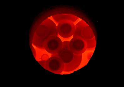 Imagen secundaria 1 - Pablo Tito alimentando el horno con orujo, piezas vistas por la bravera y sellado del horno.