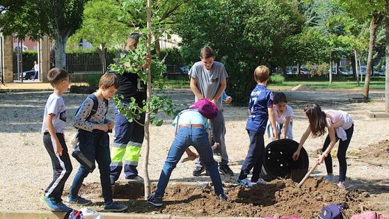 Diferentes actividades en el Parque Norte por el Día del Medio Ambiente
