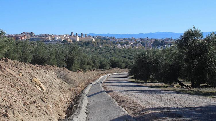 Úbeda y Baeza, unidas también por la 'Senda de Antonio Machado'
