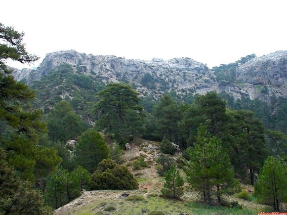 Ascensión a la cumbre del Blanquillo del grupo Vulpes