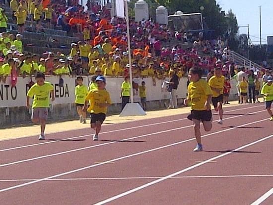 Valoración positiva de la primera edición de la Olimpiada Escolar