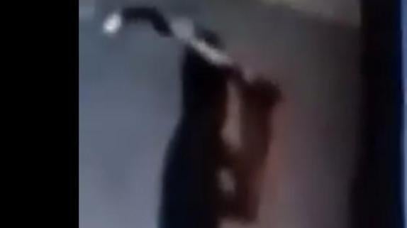 Detenido un herrador acusado de maltratar a varios caballos en una cuadra de Úbeda