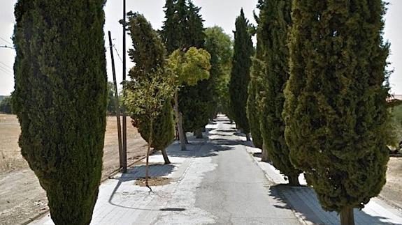 Vista del camino del cementerio.