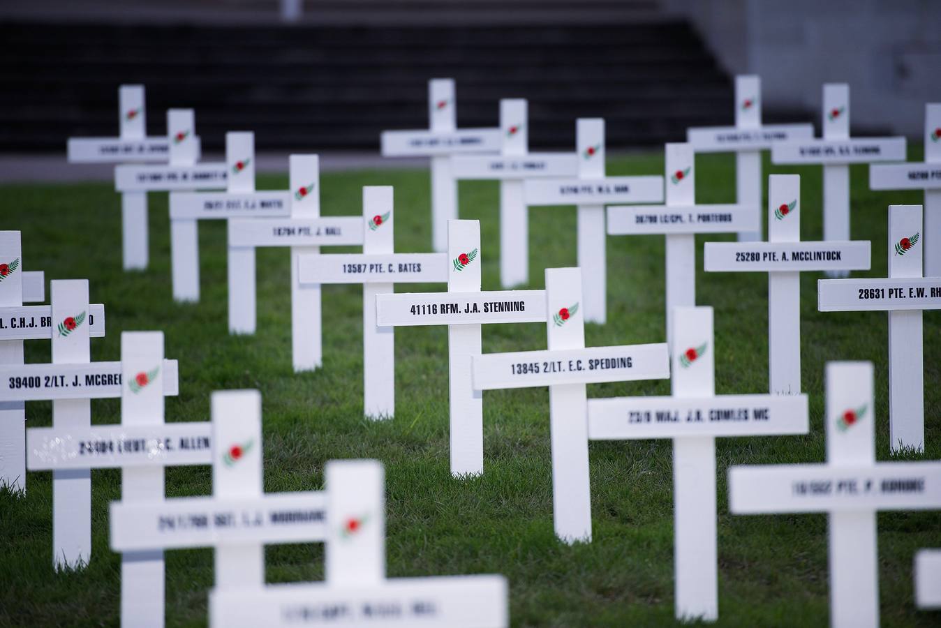 Un centenar de cruces blancas con el nombre de algunos de los que se perdieron la vida en la 1ª Gran Guerra.