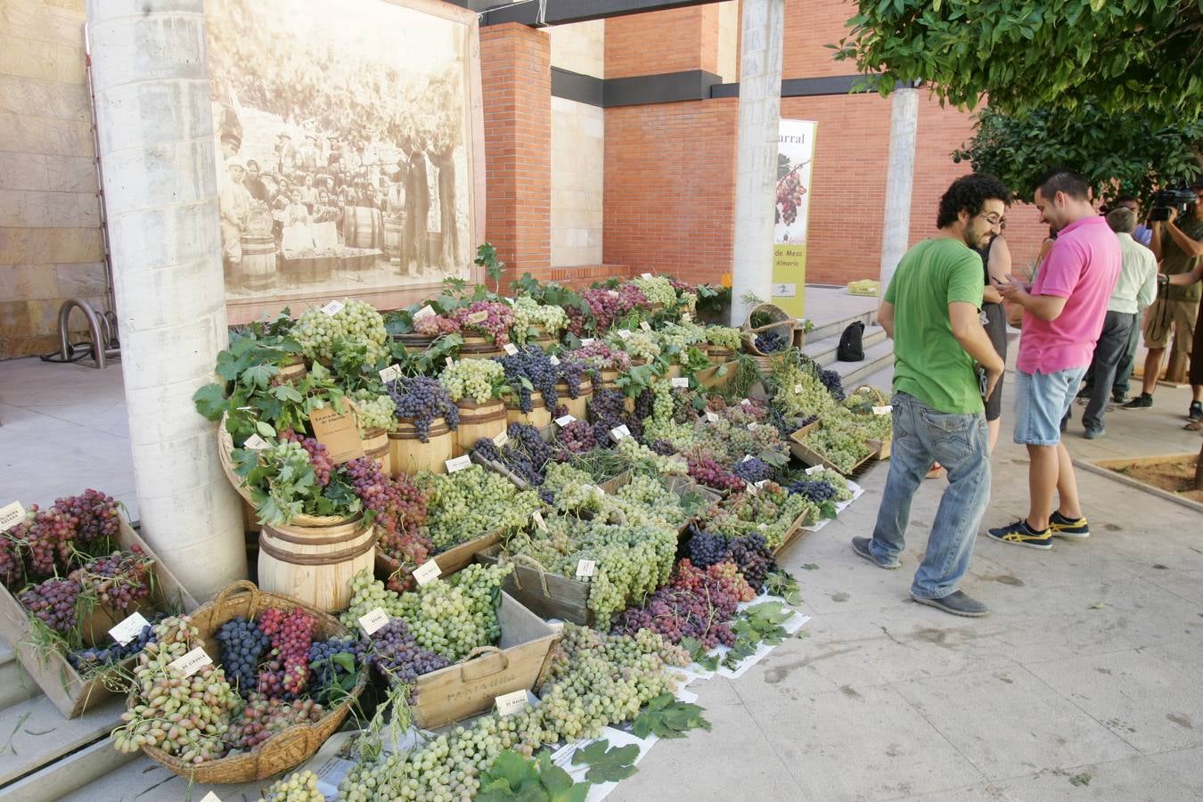 La uva de origen sabe mejor