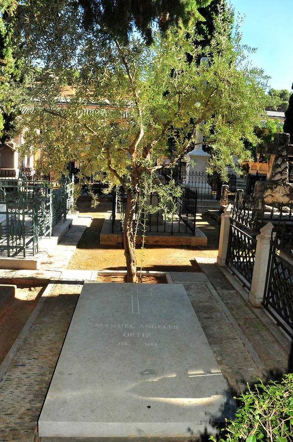 Ramas de olivo El pintor Manuel Ángeles Ortiz (1895-1984) descansa en una tumba sencilla, junto a la que se plantó un olivo, un símbolo de naturaleza y belleza.