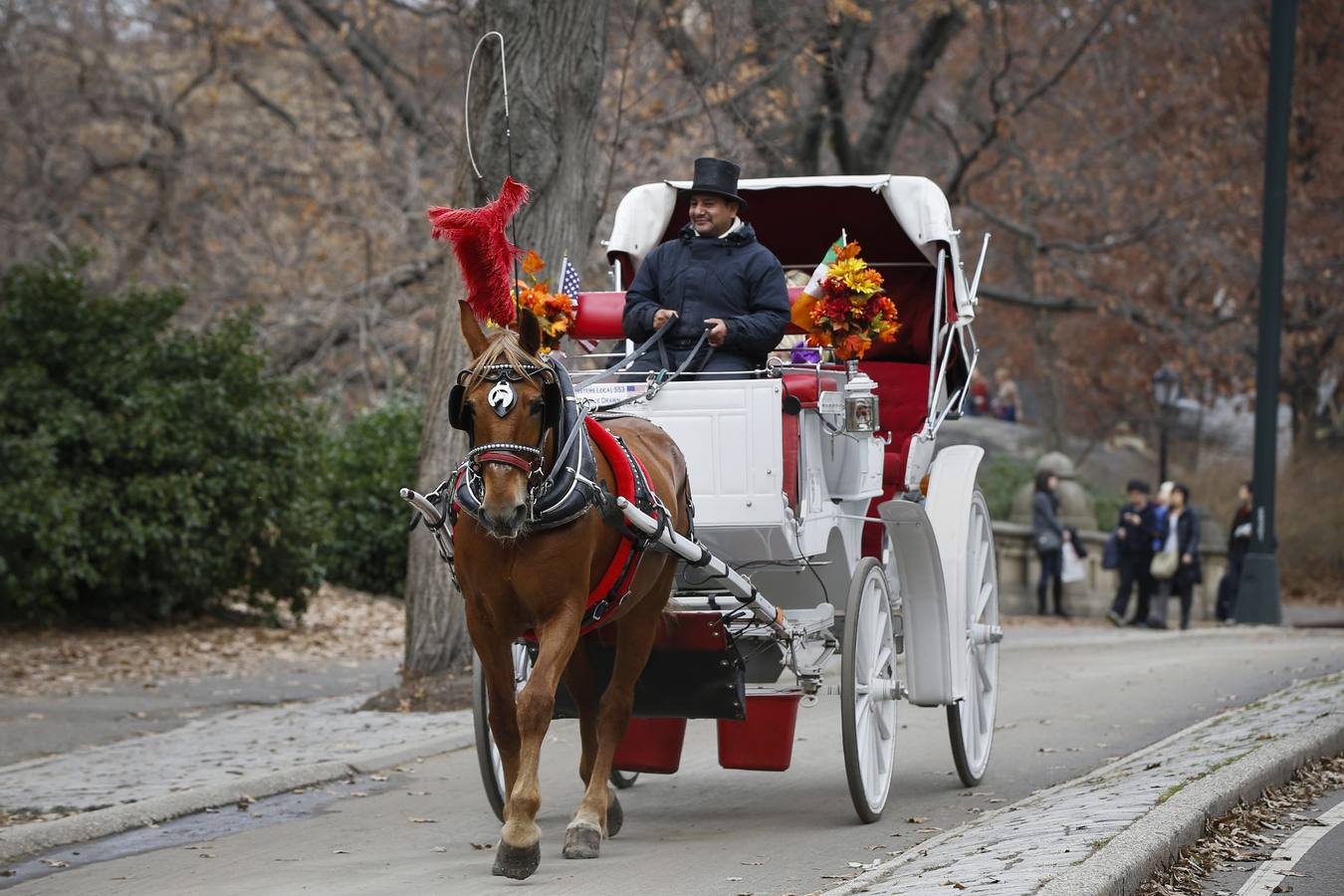 Un carruaje tirado por caballos paseando por Central Park en Nueva York