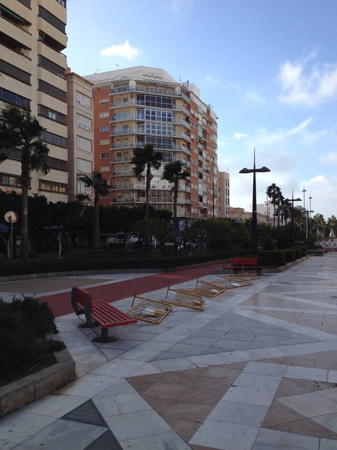La fuerza del viento provoca cortes de luz y telefonía y caída de árboles y cableado