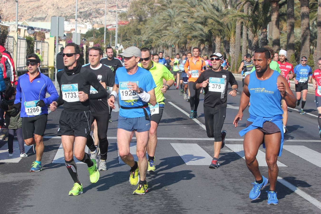 La Medio Maratón de Almería (I)