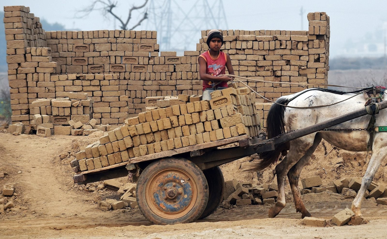 Un trabajador indio utiliza un carro tirado por caballos para entregar ladrillos de arcilla sin hornear a una fábrica de ladrillos en Sahibabad en las afueras de Nueva Delhi.