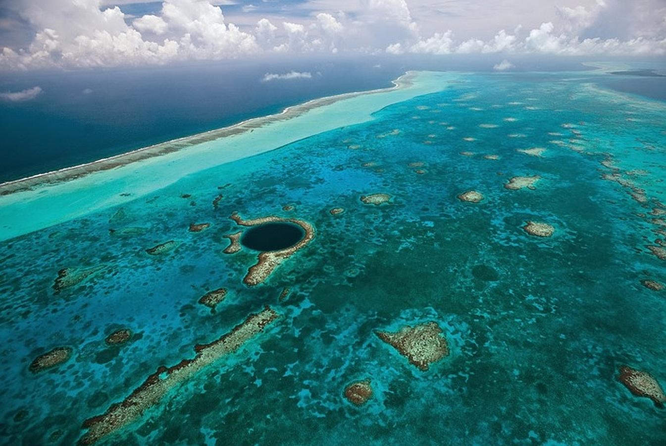 Arrecife de Belice. 