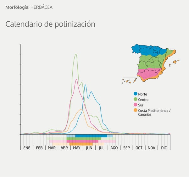 Alergia al polen: Calendario, mapa y zonas de polinización para olivo, gramíneas y otras plantas problemáticas