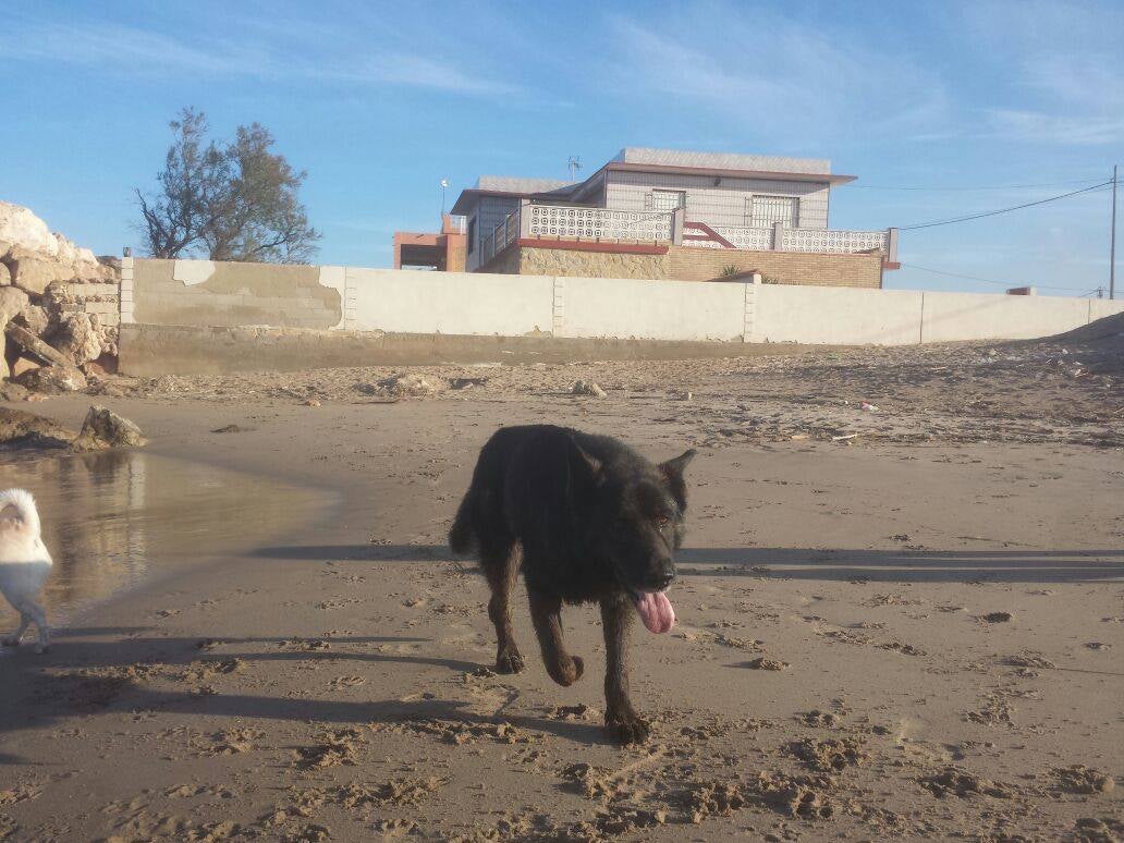 Roni, está en Alzira.