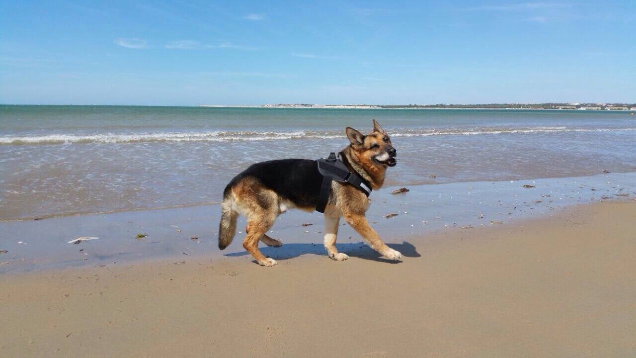 Resso vive ahora en Cádiz.